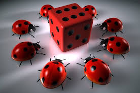 Casino MaxBet
